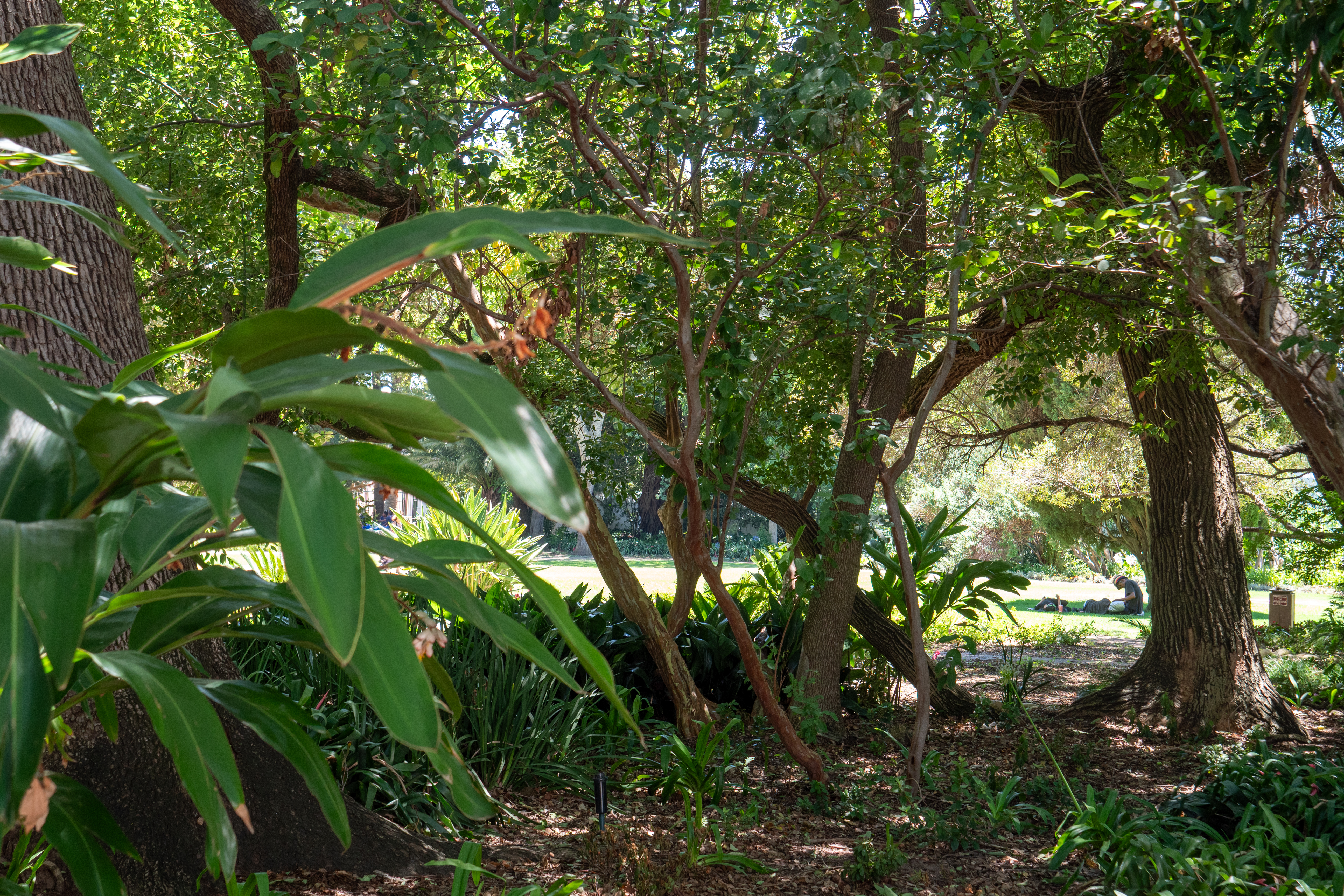 Botanischer Garten